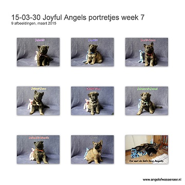 Portretjes van onze Jolly Angels, Oudduitse Herder pups van nu 6 weken. Pups van Fee en Nasho